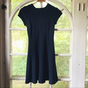 Banana Republic Navy Blue Fit and Flare Dress